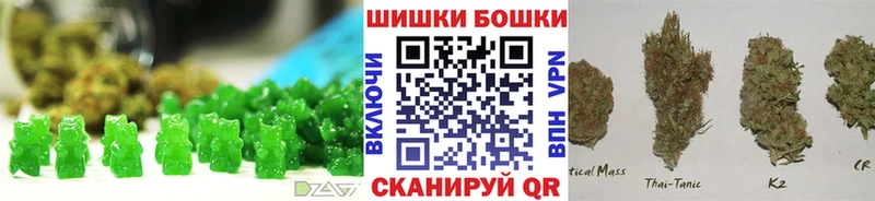 как найти закладки  Павловск  Canna-Cookies конопля 