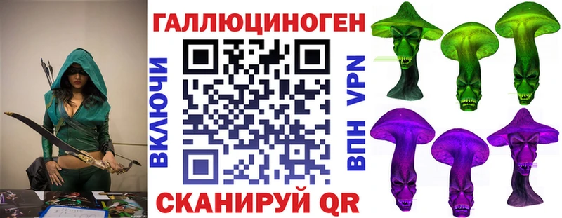 Галлюциногенные грибы Psilocybine cubensis  как найти   Павловск 